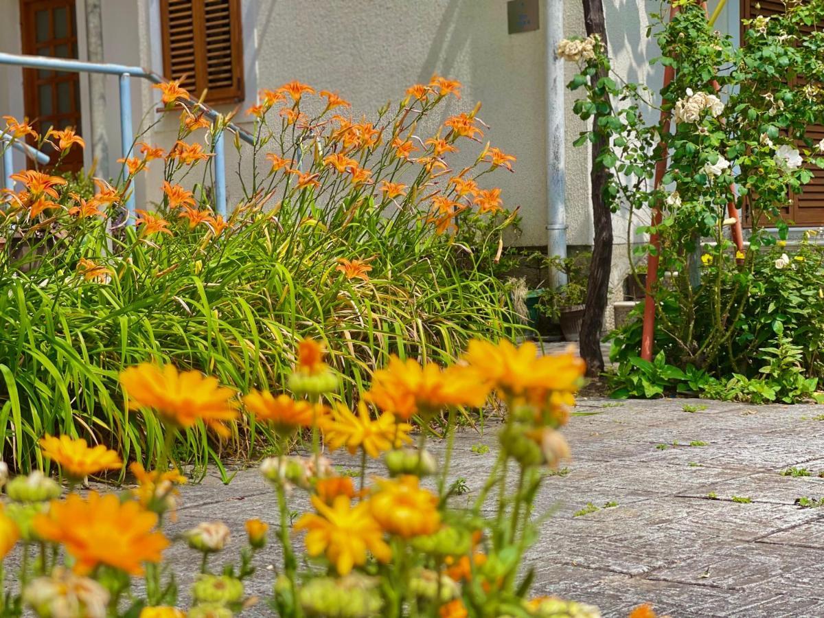 Garden House Budva Exterior photo